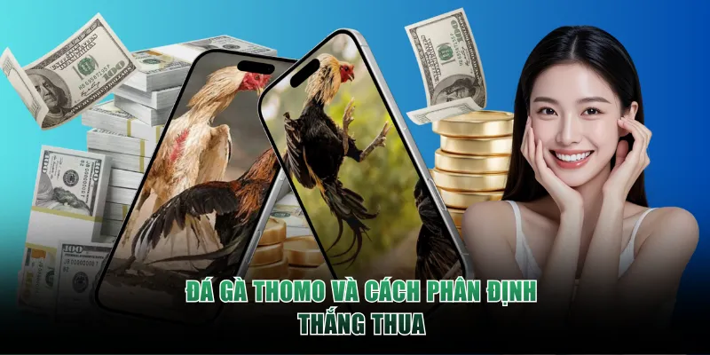 Đá gà Thomo F8BET và cách phân định thắng thua