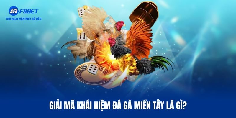 Đôi nét thông tin đá gà miền Tây là gì