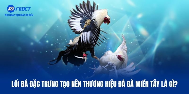 Nét hay đá gà miền Tây sở hữu
