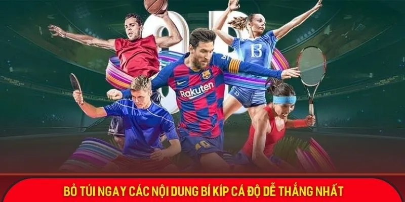 Bỏ túi ngay các nội dung bí kíp cá độ dễ thắng nhất